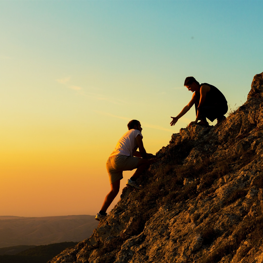 Entwicklung des Unternehmens